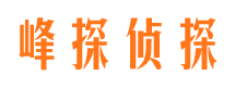 元宝山市婚姻调查